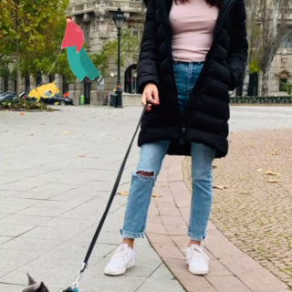 10000268451c5988c0615c6ca6