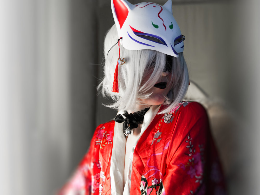 1_Player_1 / WhiteFoxPlayer / ToBeRaven / FoxxyPlayer