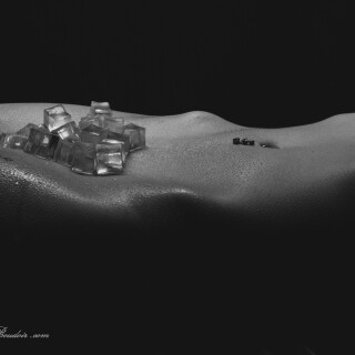 3114a12983a32fd8e1f8c4ca5fb43ec4