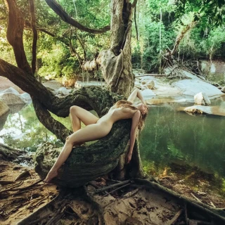 3e449121268750ed5d021b66bf9a170b