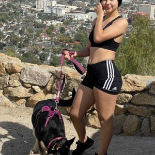 7a39216e49e2c73fb19865ed31583278