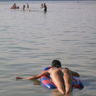 84a878d382d3187a1fade7257ff9c697