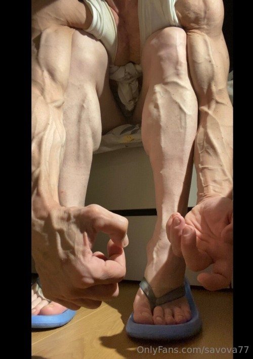 877x1242_4d5179468c6baaca3da97b3eb82d9035c7ad43563f2fbdac.jpg
