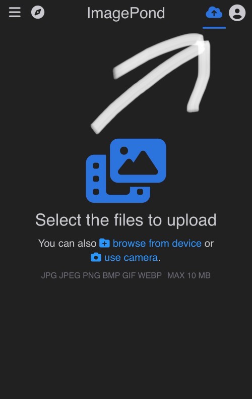 IMG_6198bca7d34eca22ee2e.jpeg