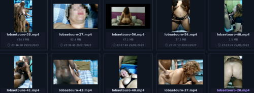 Screenshot 2024 12 16 at 03 24 03 lobaetouro Bunkr