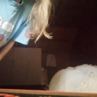 af4848478bc9851186bbbcfe0e2769f1