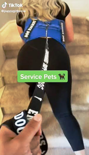 c1f34cd08f5e3c8070b3e85a05a16f96.png