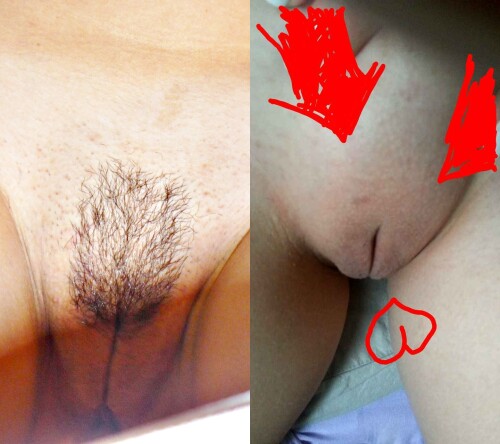 db908314d092bf9341bb549754dd10d6.jpg