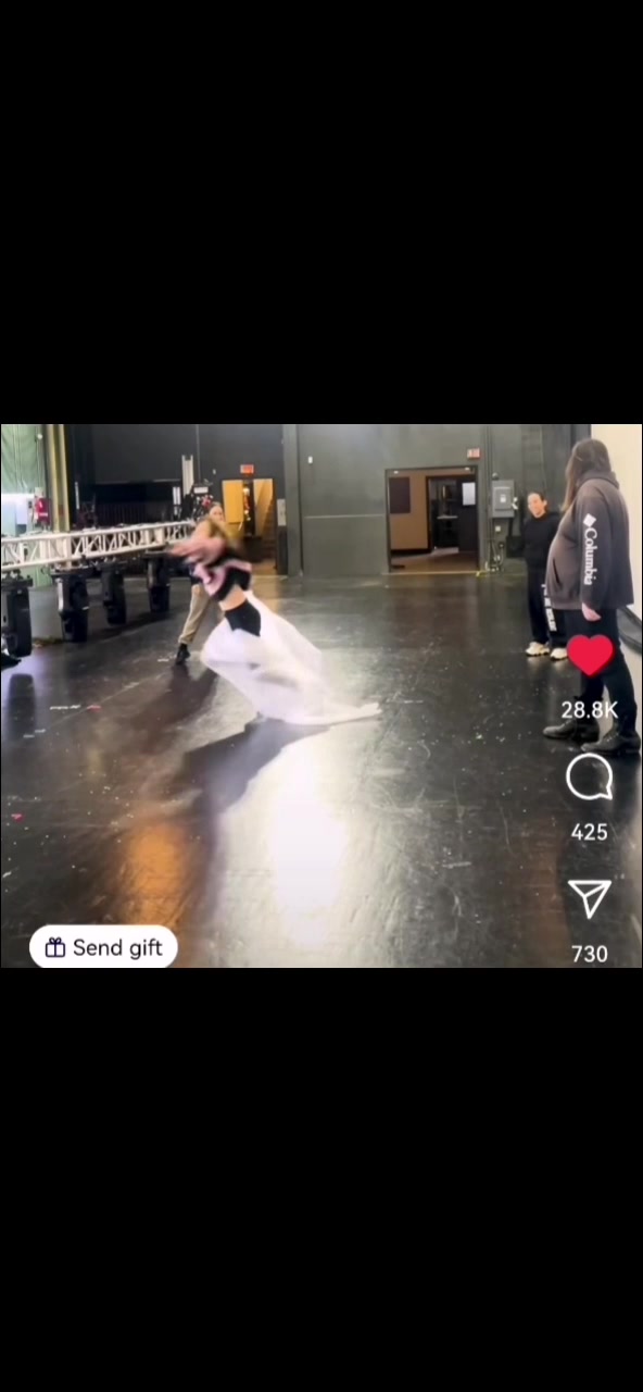 petal_20240403_194817.mp4