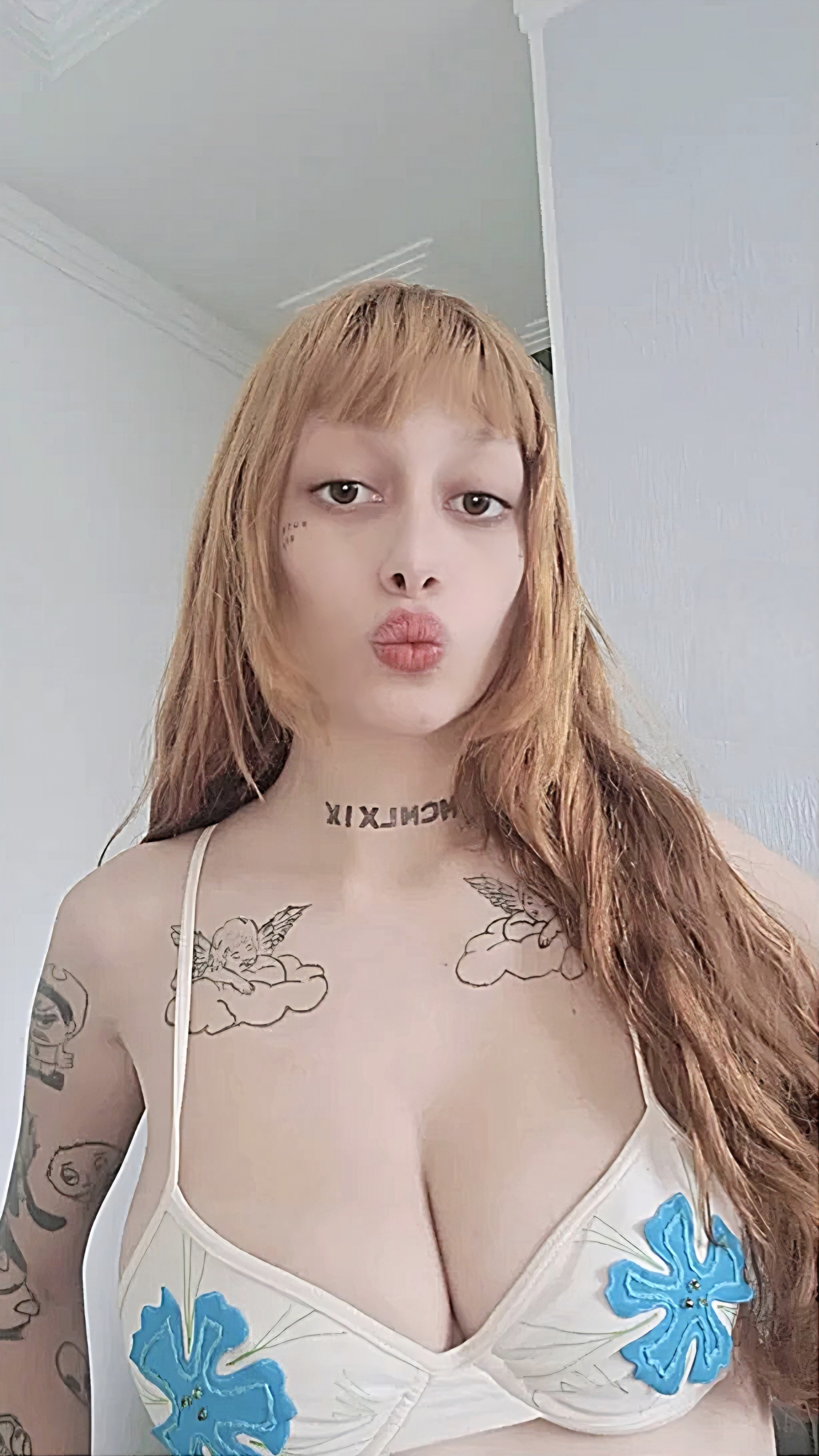 Web Piriguete | @webpiriguete