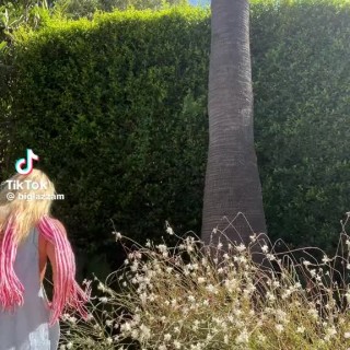 10000125411a9ce0f7202b6ff3