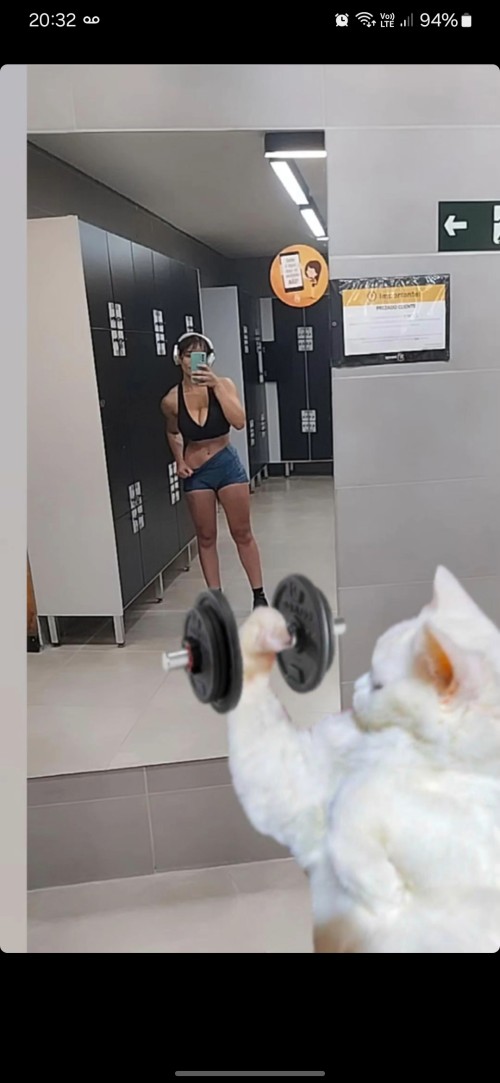 1000091907198533c1906cf62b.jpg