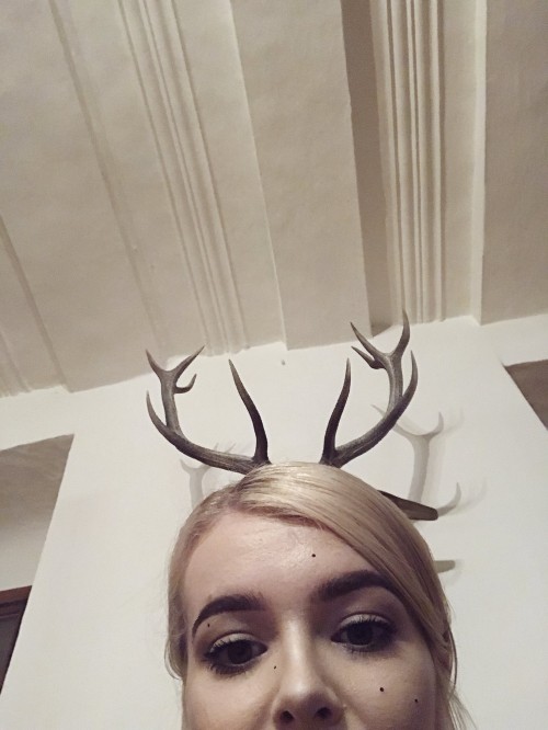 1000093696409c4494a5e9a57f.jpg