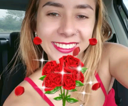 10001639727e42ee7057853e8d.png