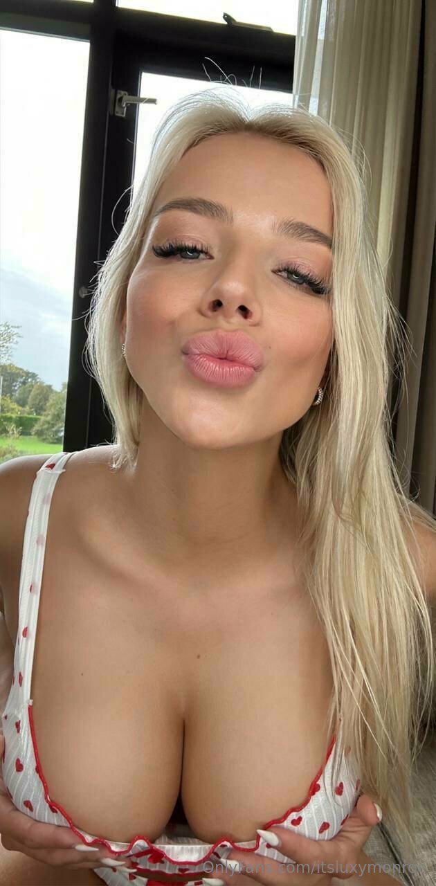 1782286.jpg