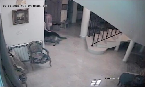 20200901Caline Zeaiter 79