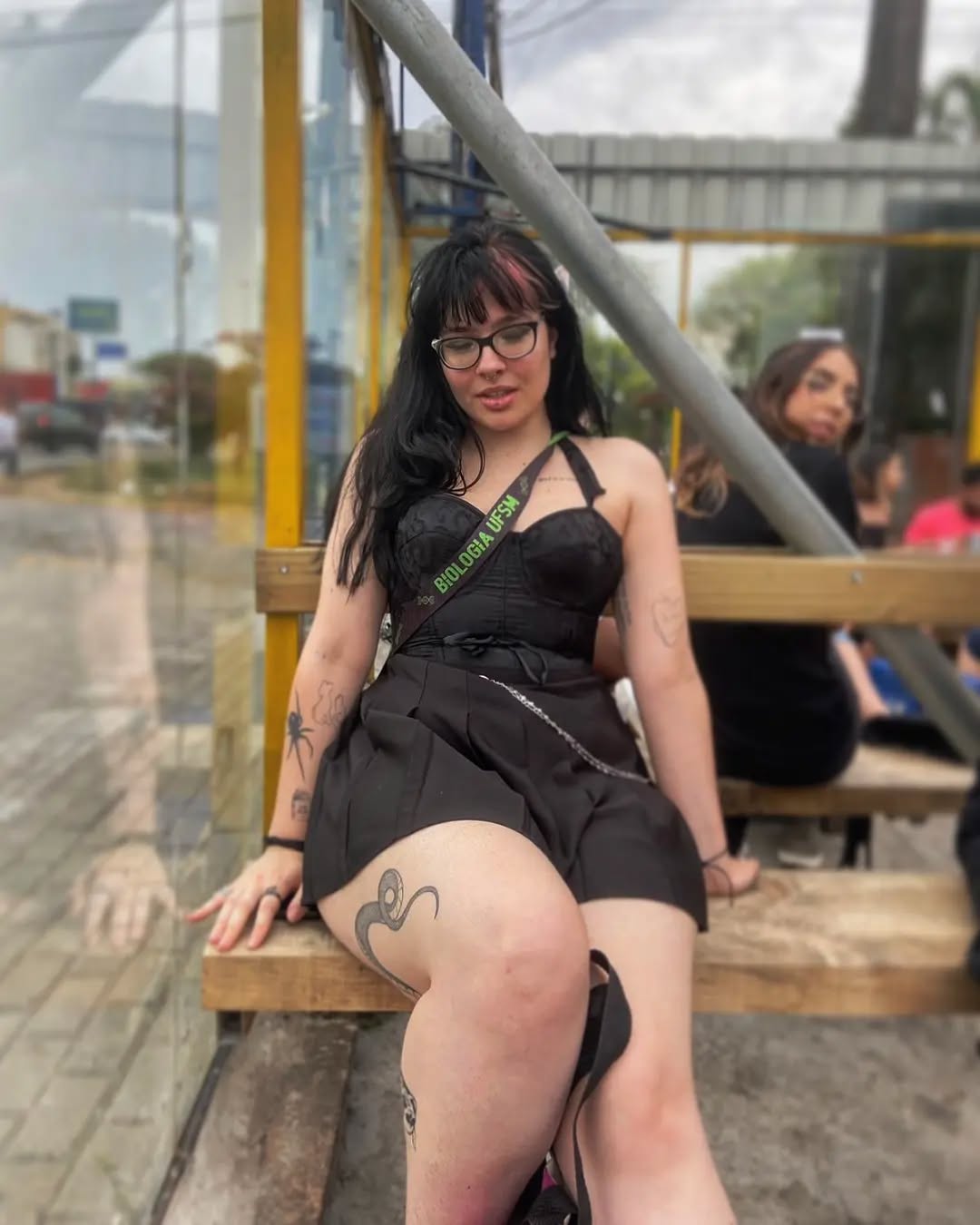 Gatas de Santa Maria - RS