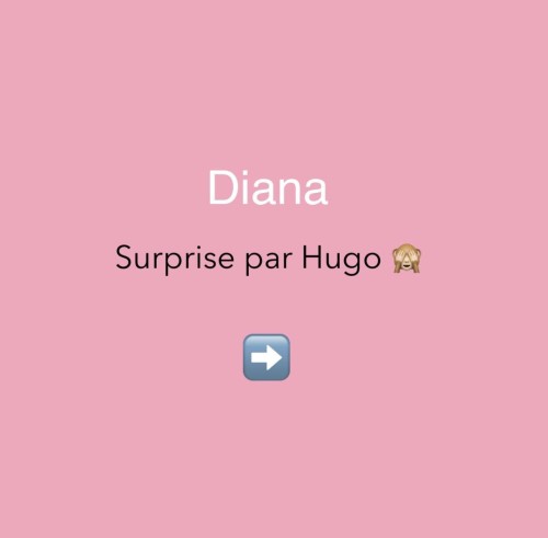 33-Diana-Lawrence-surprise-par-Hugo1c232573b5f196365.jpg