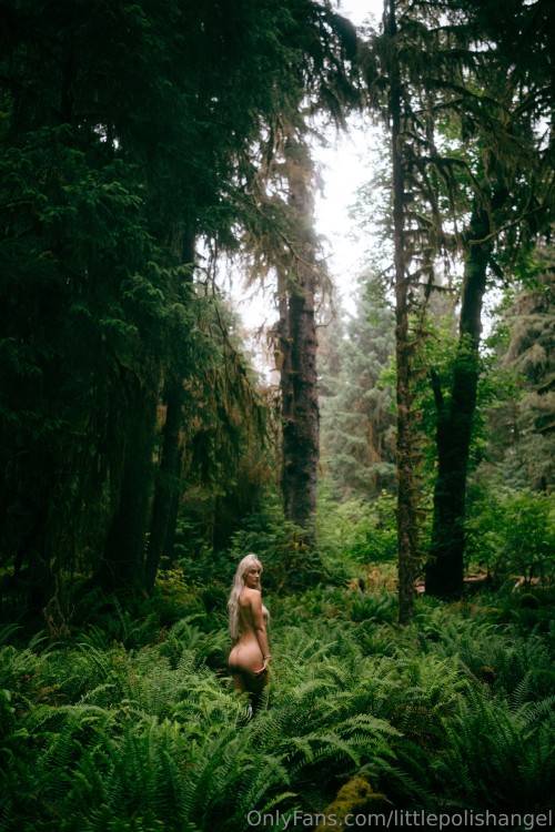 3840x5760_549ecbf9718429e3cadf2b221b98d2e58c2a993e8fc016e50015f69343d75120.jpg