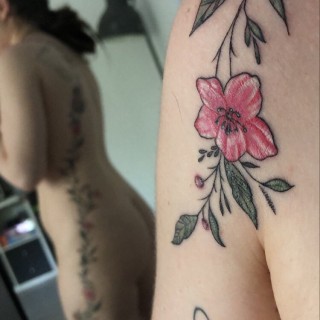 43ba6a10-cdd4-4351-bd27-60d08e342be1