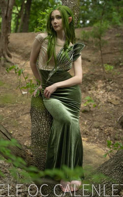 524185008 18330492823205645 1765250533018222393 n