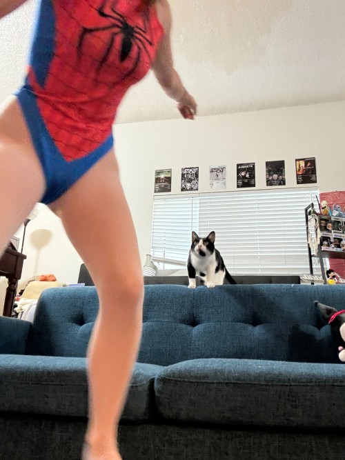 528bccb5e7b5893c201b64686ffe9da2