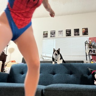 528bccb5e7b5893c201b64686ffe9da206080628d68c3bbf