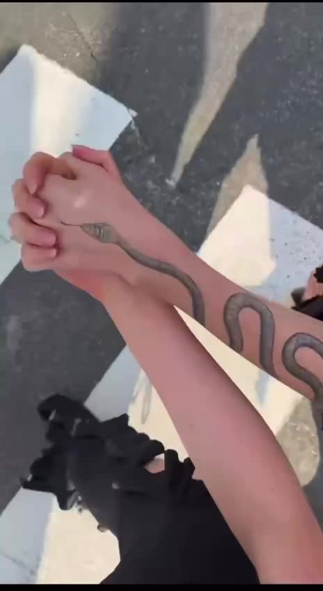 623403142318418120190a04dcd80bf55a2.mp4