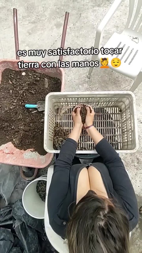 6256781 cdc2b4303fe97286ed81d4d68bf6b5bc