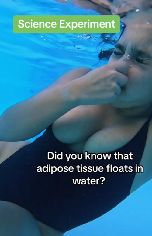 9989fc8f d078 4597 bc69 2e6a4f8dcbb1.md