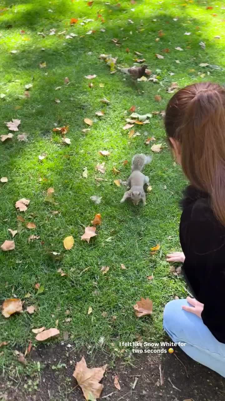 AQOgGwyE5tCMvcp-Uk9j3JVYnGBJOcB6veSZ9VzjfZi0WATgFL6eSWQhE0chiWgM-slCZAFs3SicnrA4JLGzwaRn9ubeN_Rgp1l_cg8.mp4