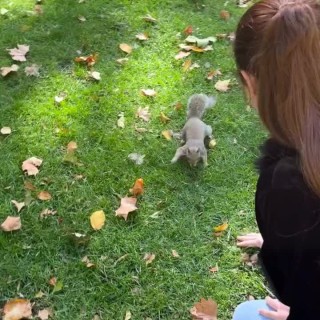 AQOgGwyE5tCMvcp-Uk9j3JVYnGBJOcB6veSZ9VzjfZi0WATgFL6eSWQhE0chiWgM-slCZAFs3SicnrA4JLGzwaRn9ubeN_Rgp1l_cg8