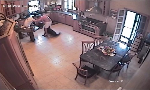 Caline Z 20200902179