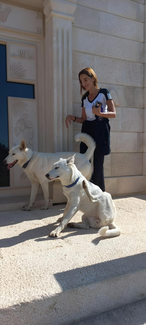 Caline-Zeaiter-Ims-918c1f374384dcf50.png