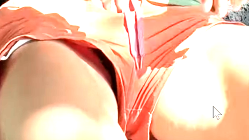 Desktop-Screenshot-2025.05.19---19.53.42.820e737df1b612ccea.png
