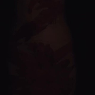 Dove-Cameron-R0360f385d7205821c31