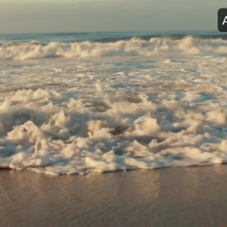 Hailee-Steinfeld-R285