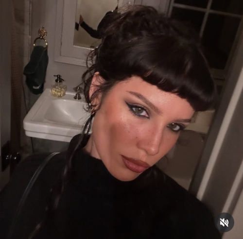 Halsey-R011ae1b04c48d8db697.png