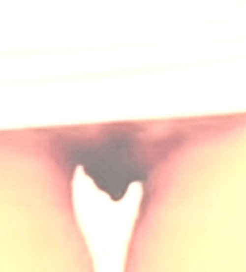IMG_095573573da10969ef80.jpeg