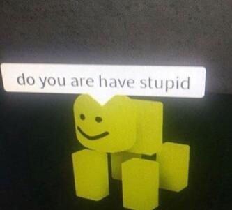 IMG_251966978bb890dfcfc3.jpeg