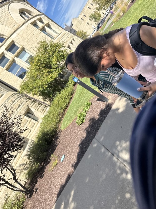 IMG_3403379a9a2b562d111e.jpeg