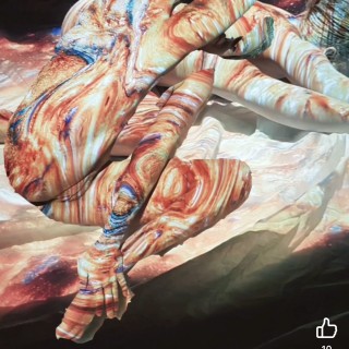 IMG_37418a8c536b11029319