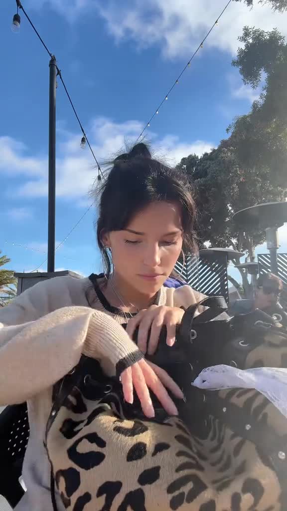 Inde-Navarrette-R087.mp4