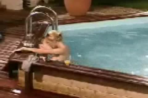 Loanna-Loft-story-pool-sex14cbb386b79fd476.mp4