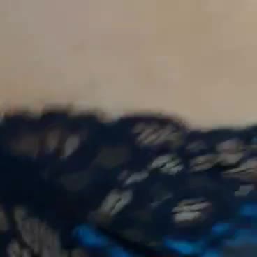 Messenger_creation_E9B90631-BA89-4F26-B26C-12F47AF98D22ff17222f16394611.mp4