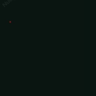 NLTHUB.PK---Nadia-Amine029