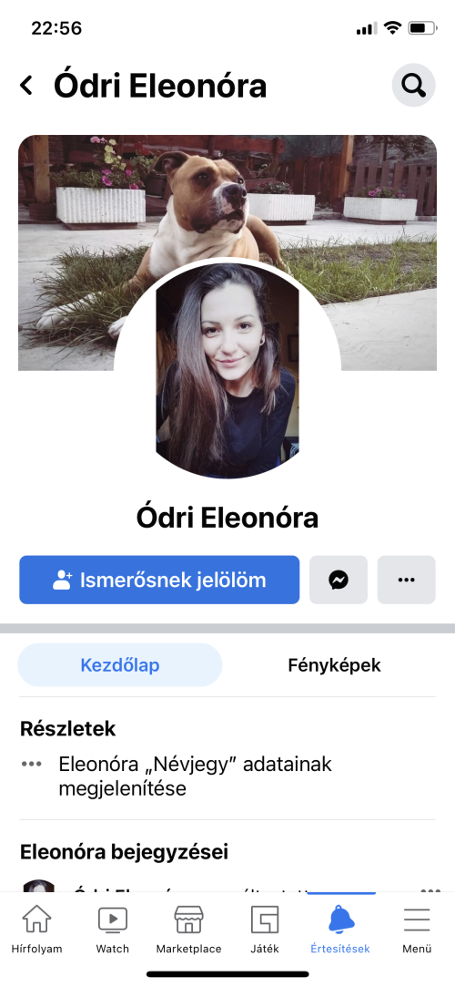 Odri-Eleonora-16K059a467fffced17a.png