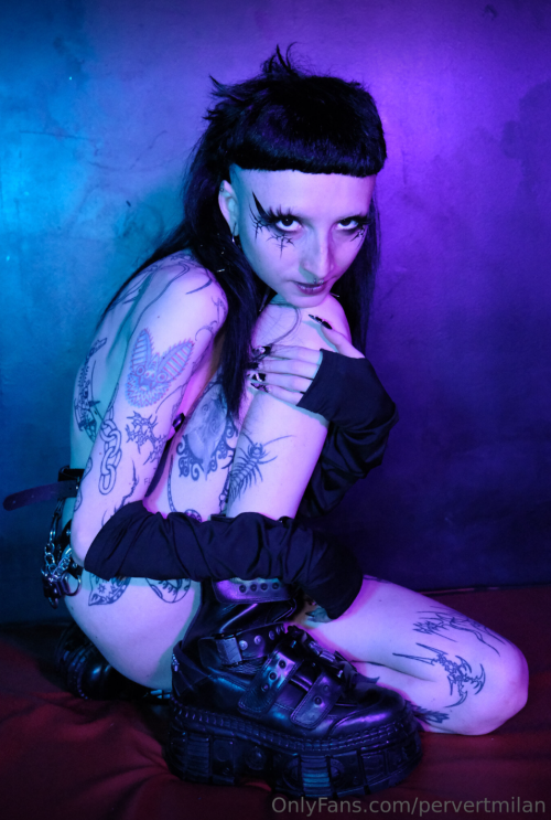 Screenshot 2024 08 13 200519