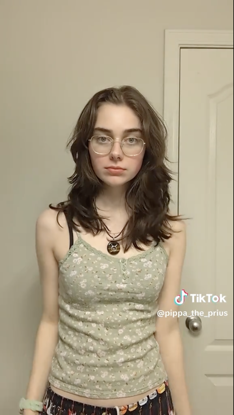 pippa_prius aka cheed_baby aka cheed.carrd.co