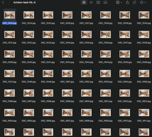 Screenshot-2025-06-06-at-8.54.32PM3b13fe100c54ba54.png